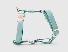 Mint Green Crystal Dog Harness
