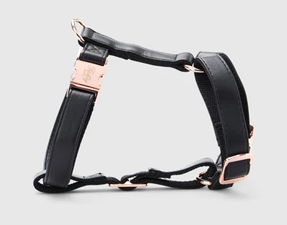 Classic Black Elegance Dog Harness