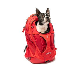Dog Carry-On Bag