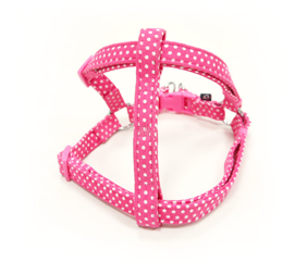 EasyCLICK Harness Polka Dots