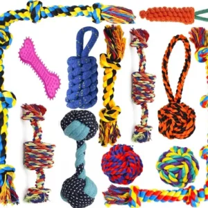 Puppy Toy Set