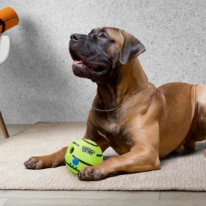 Interactive Sound Ball Toy